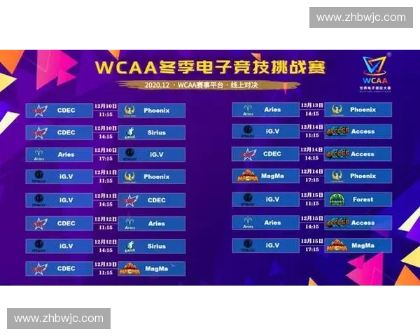 电竞赛事助理的职责与挑战分析如何提升赛事组织效率与观众体验